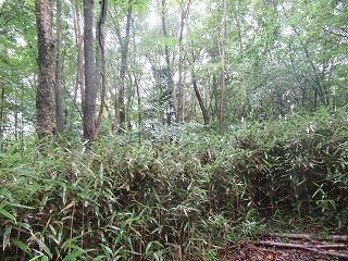 Land for Sale in Fujikawaguchiko, Yamanashi - 597 sqm Plot - Thumbnail 3