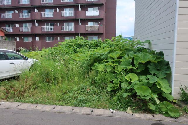 Land for Sale in Otaru, Hokkaido - 228.29 sqm Plot - Thumbnail 2