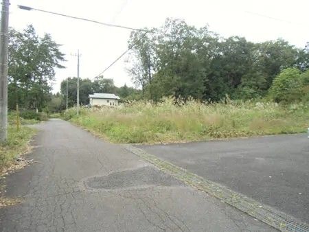 302.5 Tsubo Land for Sale in Nikko, Tochigi - Green Subdivision - Thumbnail 2