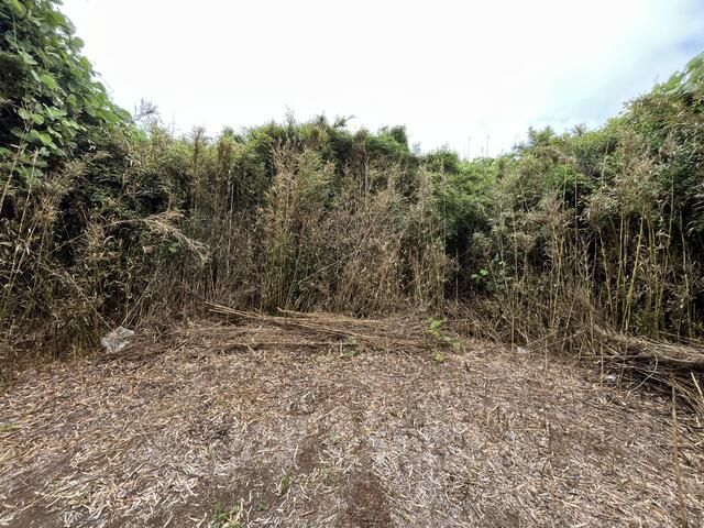 Commercial Land for Rent in Hokota, Ibaraki - 329.96 sqm - Thumbnail 3