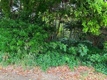Land for Sale in Choshi, Chiba - 2935 sqm - Thumbnail 3
