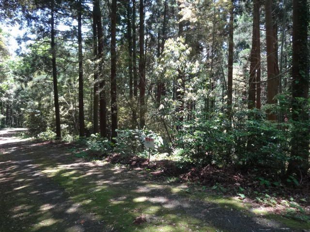 186 sqm Land for Sale in Kashiwazaki, Niigata - Thumbnail 3