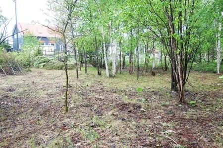 Land for Sale in Teshikaga, Hokkaido - 497 sqm Plot - Thumbnail 2