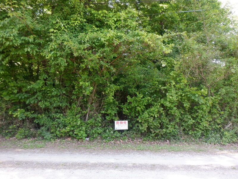 Land for Sale in Nasushiobara, Tochigi 167 sqm - Thumbnail 2
