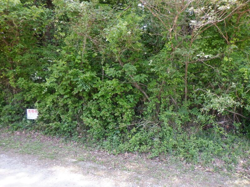 Land for Sale in Nasushiobara, Tochigi 167 sqm - Thumbnail 4