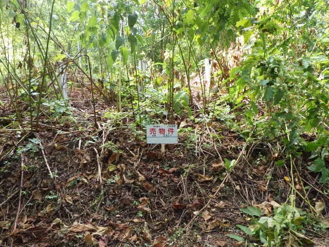 Land for Sale in Minami-ku, Sapporo - 330 sqm - Thumbnail 4