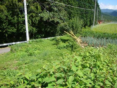 Land in a grape village overlooking Mt. Fuji: Villas, real estate, properties for sale Hometown Information Center: Nationwide rural living property data — Land, Yamanashi, Yamanashi