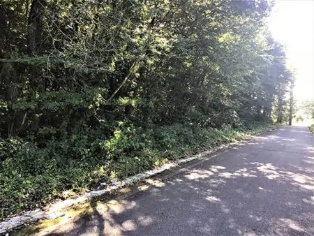 30,000 sqm Forest Land for Sale in Ichinoseki, Iwate - Thumbnail 4