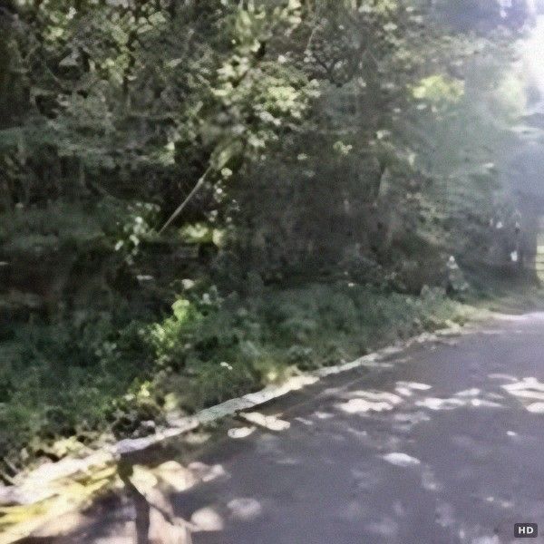 30,000 sqm Forest Land for Sale in Ichinoseki, Iwate - Thumbnail 3