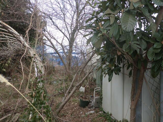 Land for Sale in Ichikawa, Chiba - 167.81 sqm Plot with Fruit Trees - Thumbnail 3