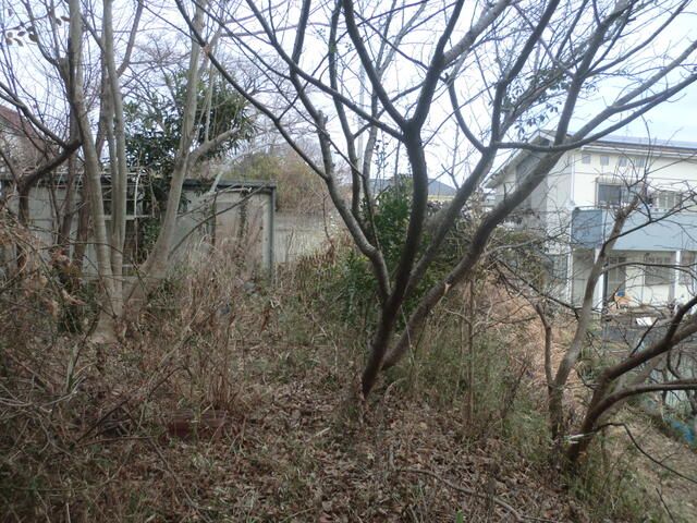 Land for Sale in Ichikawa, Chiba - 167.81 sqm Plot with Fruit Trees - Thumbnail 2
