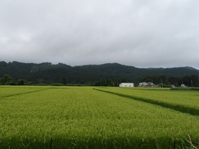 Land for Sale in Naruko Onsen, Miyagi - 165 sqm Vacant Lot - Thumbnail 4