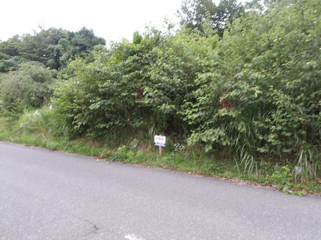 Land for Sale in Naruko Onsen, Miyagi - 165 sqm Vacant Lot - Thumbnail 3