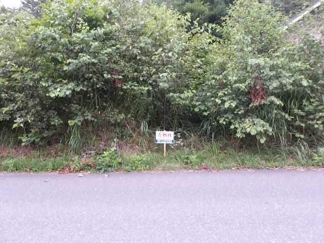 Land for Sale in Naruko Onsen, Miyagi - 165 sqm Vacant Lot - Thumbnail 2