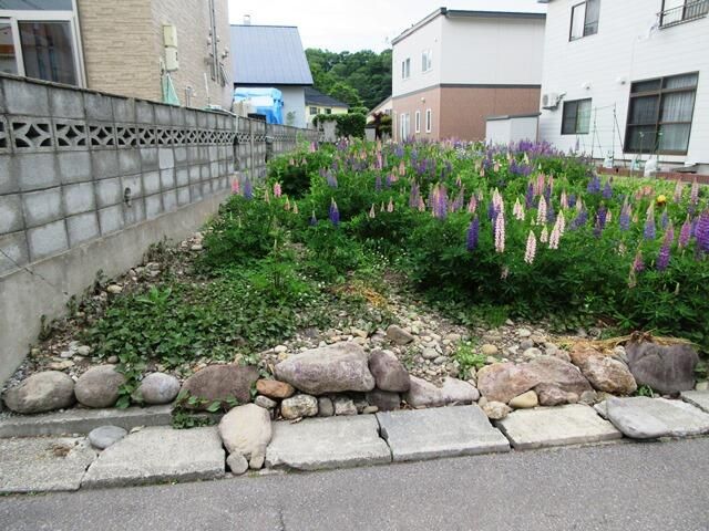 Residential Land for Sale in Otaru, Hokkaido - 177.36 sqm - Thumbnail 4