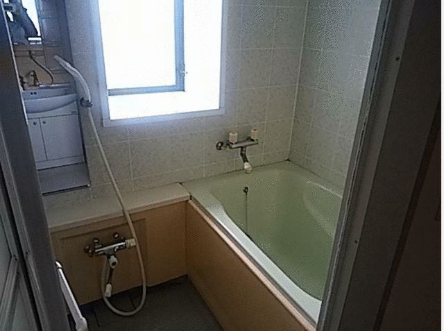Royal City 2LDK Apartment for Rent in Saitama City - Thumbnail 3