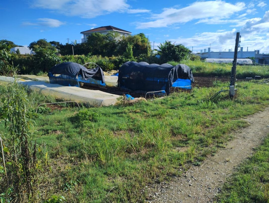 1179 sqm Development Land for Sale in Itoman, Okinawa - Thumbnail 2