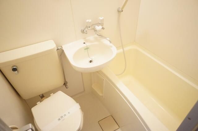 1K Apartment for Rent in Inagi City, Tokyo - Emigrant Tama River - Thumbnail 4