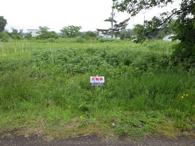 Land for Sale in Higashi Ward, Sapporo, Hokkaido - 195 sqm - Thumbnail 2