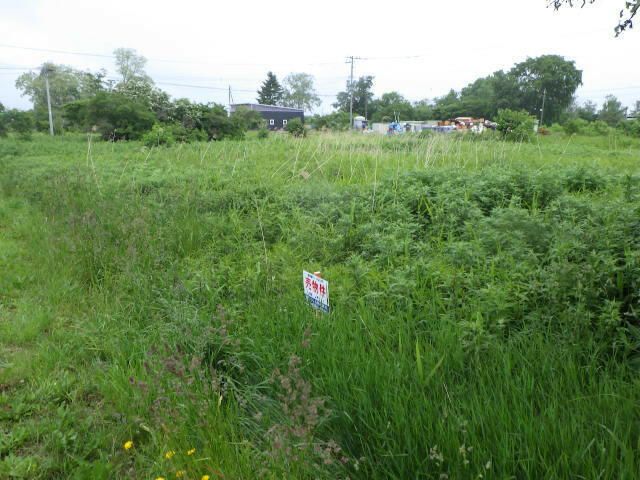 Land for Sale in Higashi Ward, Sapporo, Hokkaido - 195 sqm - Thumbnail 3