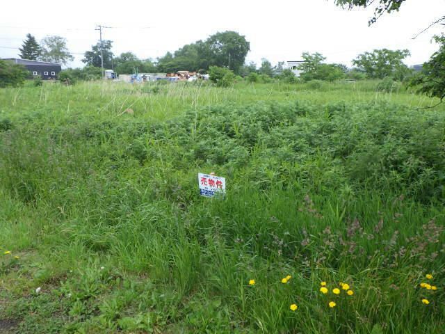 Land for Sale in Higashi Ward, Sapporo, Hokkaido - 195 sqm - Thumbnail 4