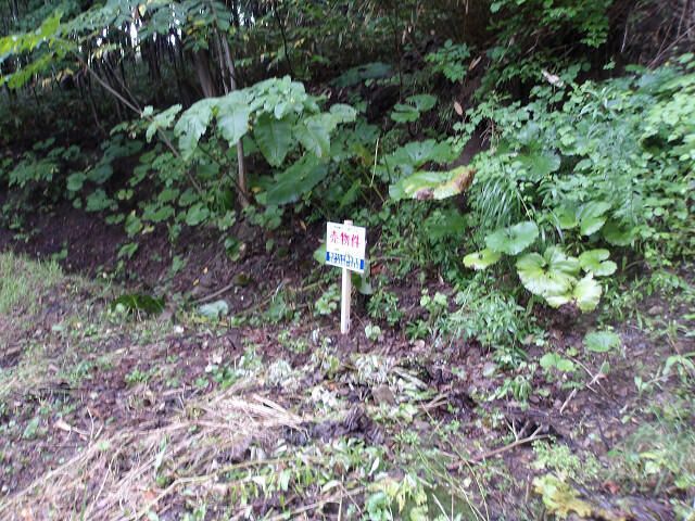 Land for Sale in Minami Ward, Sapporo, Hokkaido – 160 sqm - Thumbnail 3