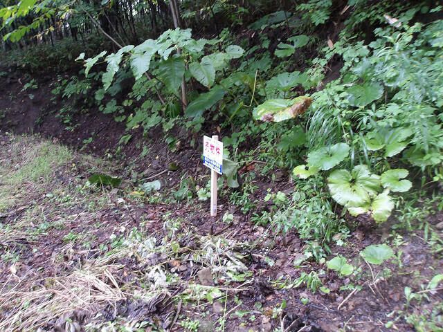 Land for Sale in Minami Ward, Sapporo, Hokkaido – 160 sqm - Thumbnail 2