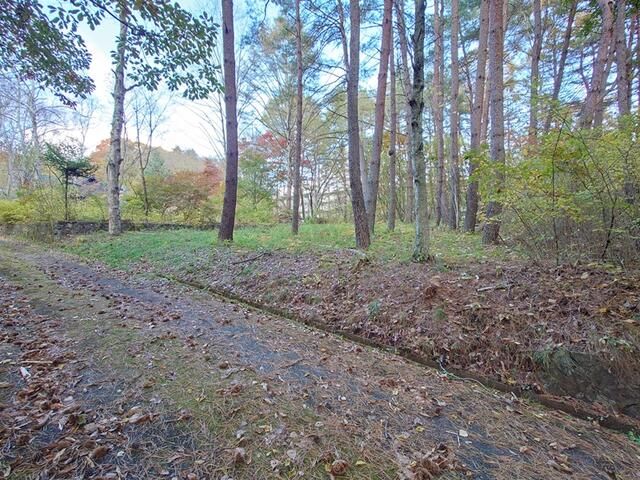 Land for Sale in Alps Highland Resort, Hokuto City, Yamanashi - Thumbnail 4