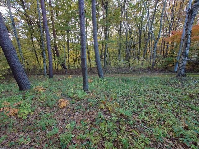 Land for Sale in Alps Highland Resort, Hokuto City, Yamanashi - Image 1