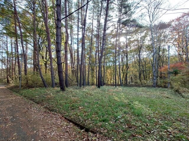 Land for Sale in Alps Highland Resort, Hokuto City, Yamanashi - Thumbnail 2