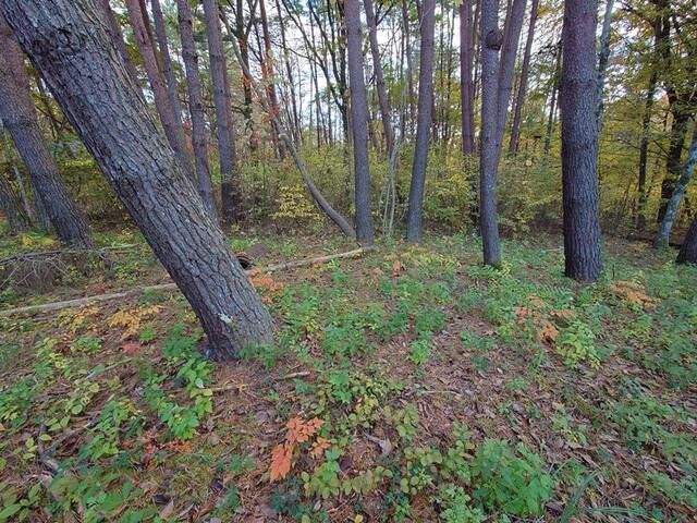 Land for Sale in Alps Highland Resort, Hokuto City, Yamanashi - Thumbnail 3