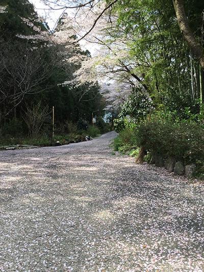 He shows off his skills at the restaurant and relaxes by working in the soil on his lakeside property: Villas, Real Estate, Properties for Sale, Hometown Information Center: Nationwide Country Living Property Data — Image 4, Kasama, Ibaraki