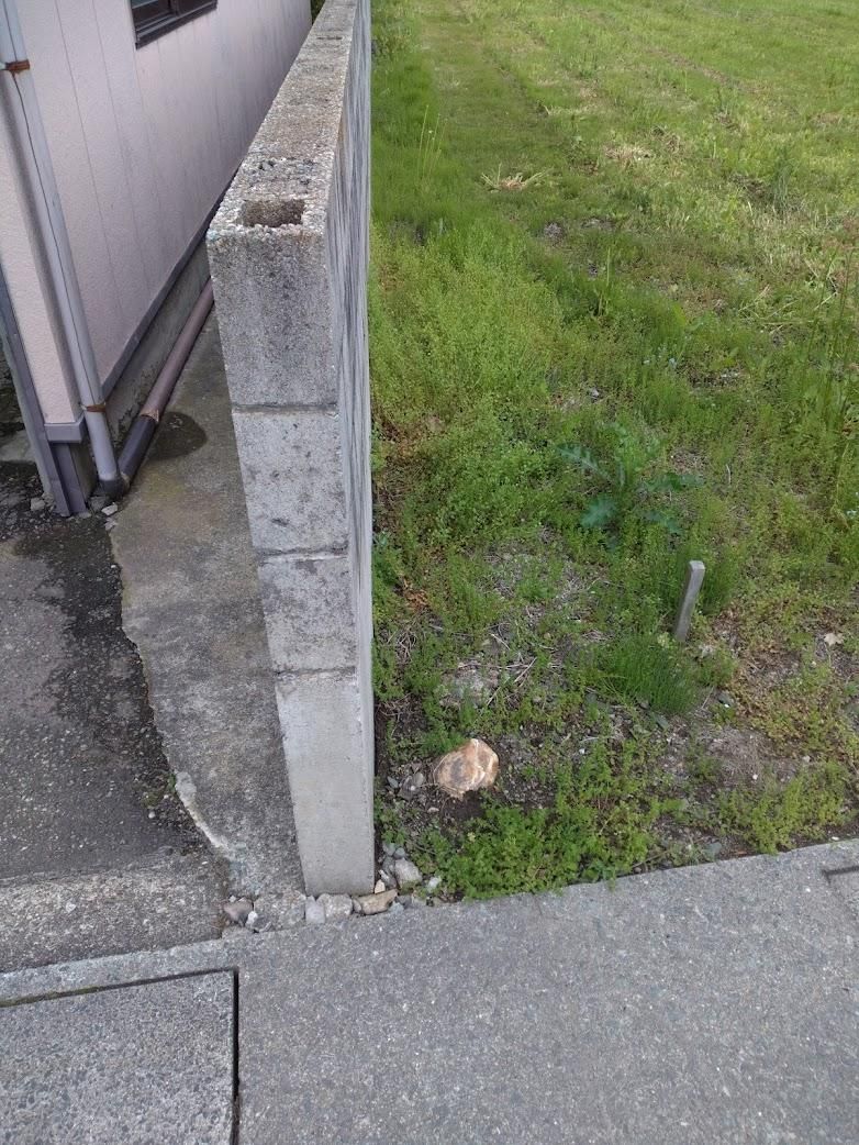 Land for Sale in Yokote City, Akita - 578.6 sqm Plot - Thumbnail 3