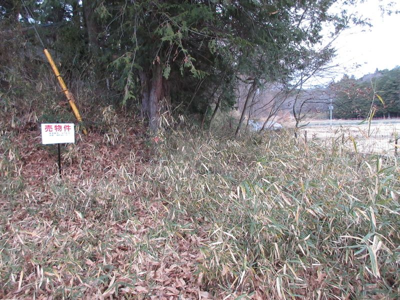 800 sqm Residential Land for Sale in Hokuto City, Yamanashi - Thumbnail 4