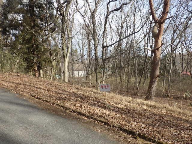 Land for Sale in Nasu Town, Tochigi - 296 sqm Plot - Thumbnail 4