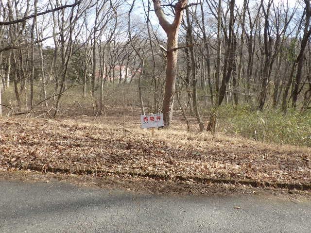 Land for Sale in Nasu Town, Tochigi - 296 sqm Plot - Thumbnail 2