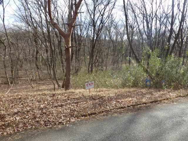 Land for Sale in Nasu Town, Tochigi - 296 sqm Plot - Thumbnail 3