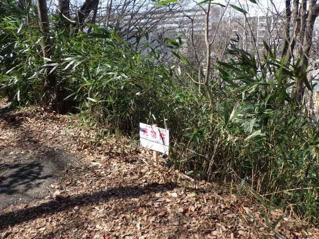 141 sqm Sloped Land for Sale in Sayama, Saitama - Thumbnail 3
