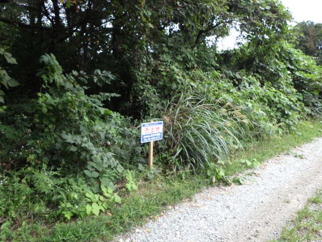 Land for Sale in Nasushiobara, Tochigi - 325 sqm Plot - Thumbnail 2