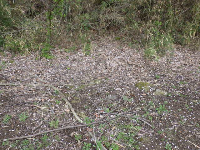 Land for Sale in Higashimatsuyama, Saitama - 304 sqm - Thumbnail 4