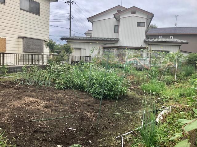 Land for Sale in Oyama City, Tochigi - 205 sqm - Thumbnail 4