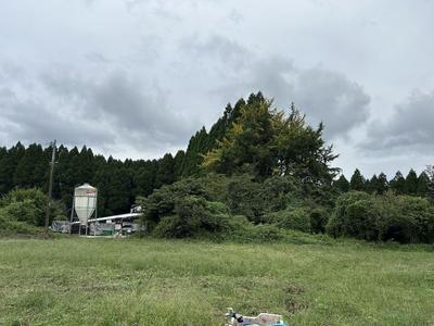 Large 5DK Detached House on 2324 sqm Corner Plot in Takamori, Kumamoto — Image 11, Takamori, Kumamoto