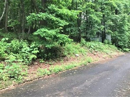 Forest Land with 10-Year Hot Spring Rights in Towada-Hachimantai Park - Thumbnail 2