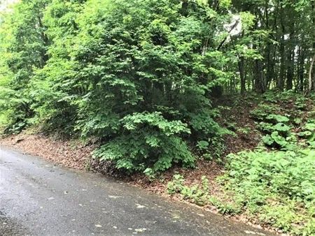 Forest Land with 10-Year Hot Spring Rights in Towada-Hachimantai Park - Thumbnail 4