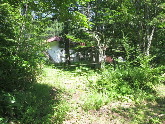 Land for Sale in Sugadaira Highlands, Ueda, Nagano - 3,391 sqm - Thumbnail 2