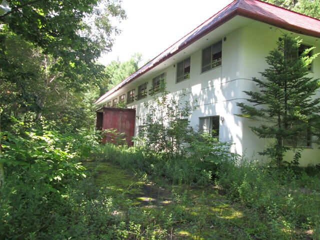 Land for Sale in Sugadaira Highlands, Ueda, Nagano - 3,391 sqm - Thumbnail 3