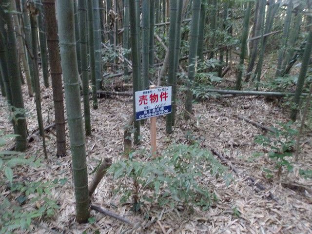 Land for Sale in Tsukuba, Ibaraki - 165 sqm Plot - Thumbnail 3