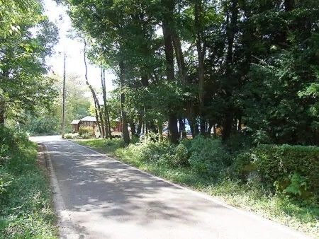 820 sqm Wooded Land with Mount Nasu Views in Tochigi - Thumbnail 2