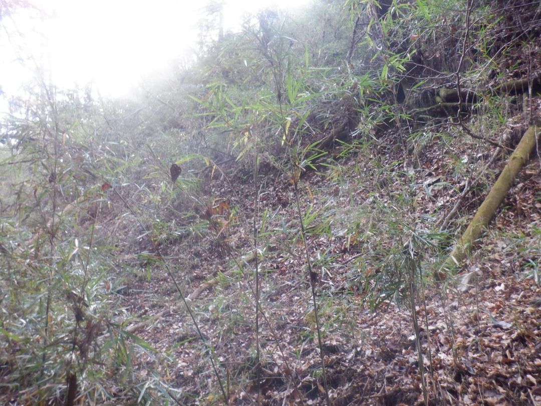 1986 sqm Land for Sale in Tsuru City, Yamanashi | Sloping Plot - Thumbnail 3