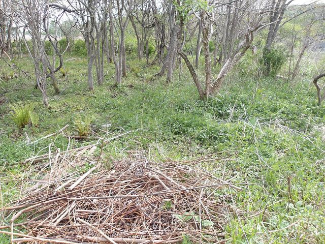 Land for Sale in Tomakomai, Hokkaido - 290 sqm Vacant Lot - Thumbnail 3